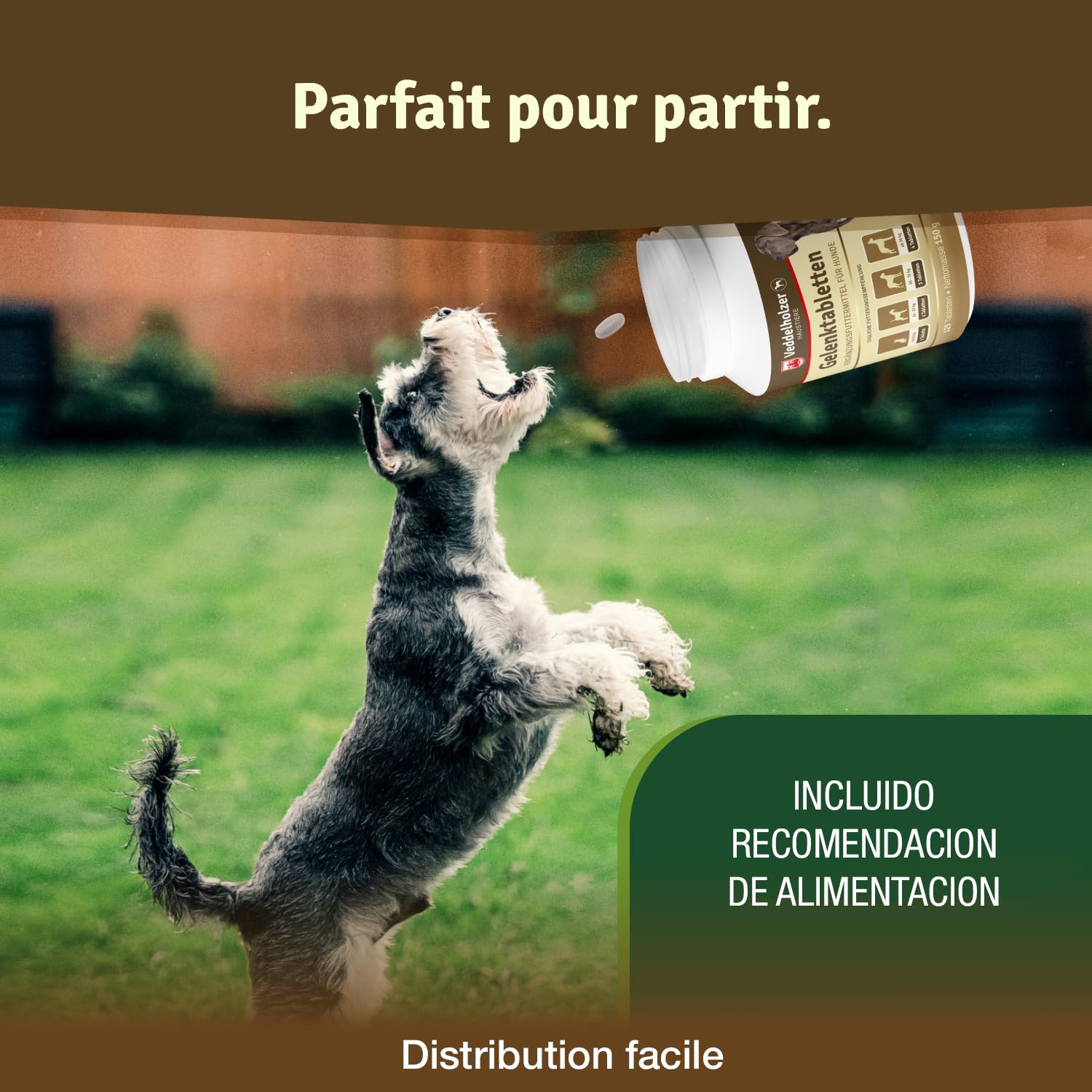Veddelholzer LAURÉAT DE COMPARAISON DE Produits 2024 Comprimés Anti arthrose Chien articulations pour Chiens avec Moule aux orles Vertes MSM & Griffe du Diable, glucosamine & collagène 125 comprimés