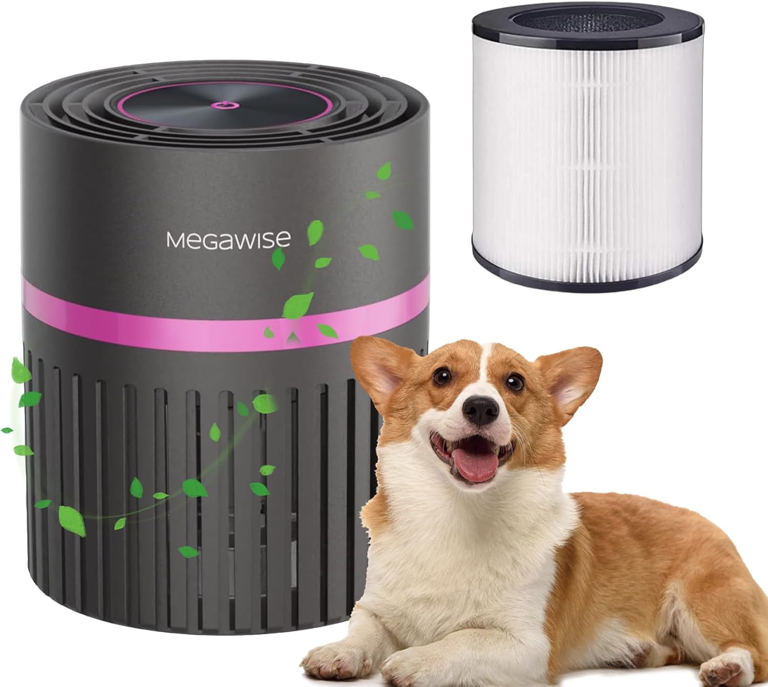 MEGAWISE HEPA Air Purifier for Bedroom, Small Room Air Cleaner