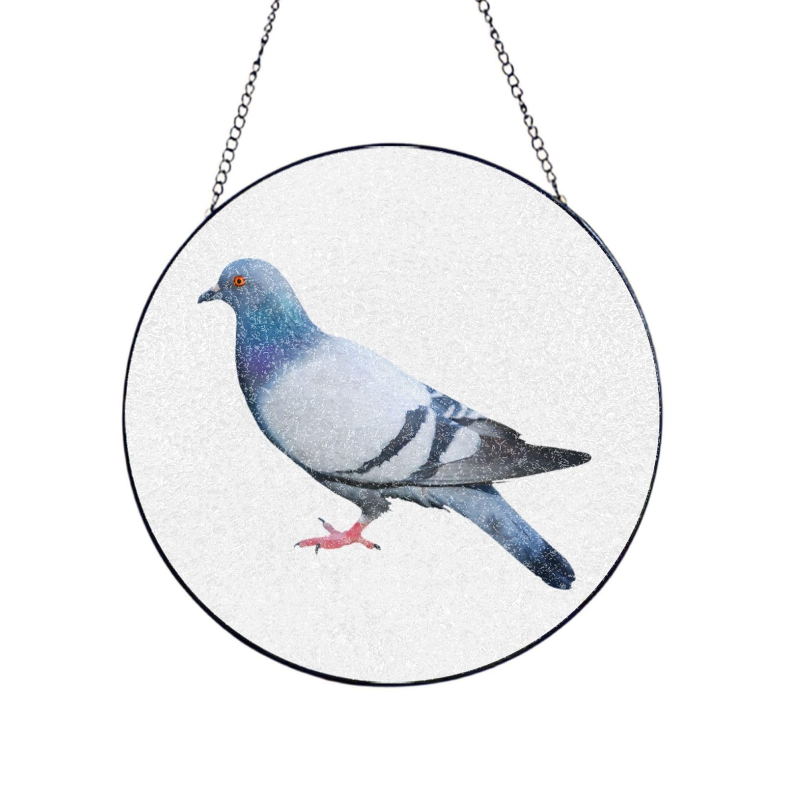 Phayah Pigeon Print Glass Window Hanging Round Suncatcher Glass Ornament Garden Wall Fence Decorations Indoor Outdoor 8in（20cm）