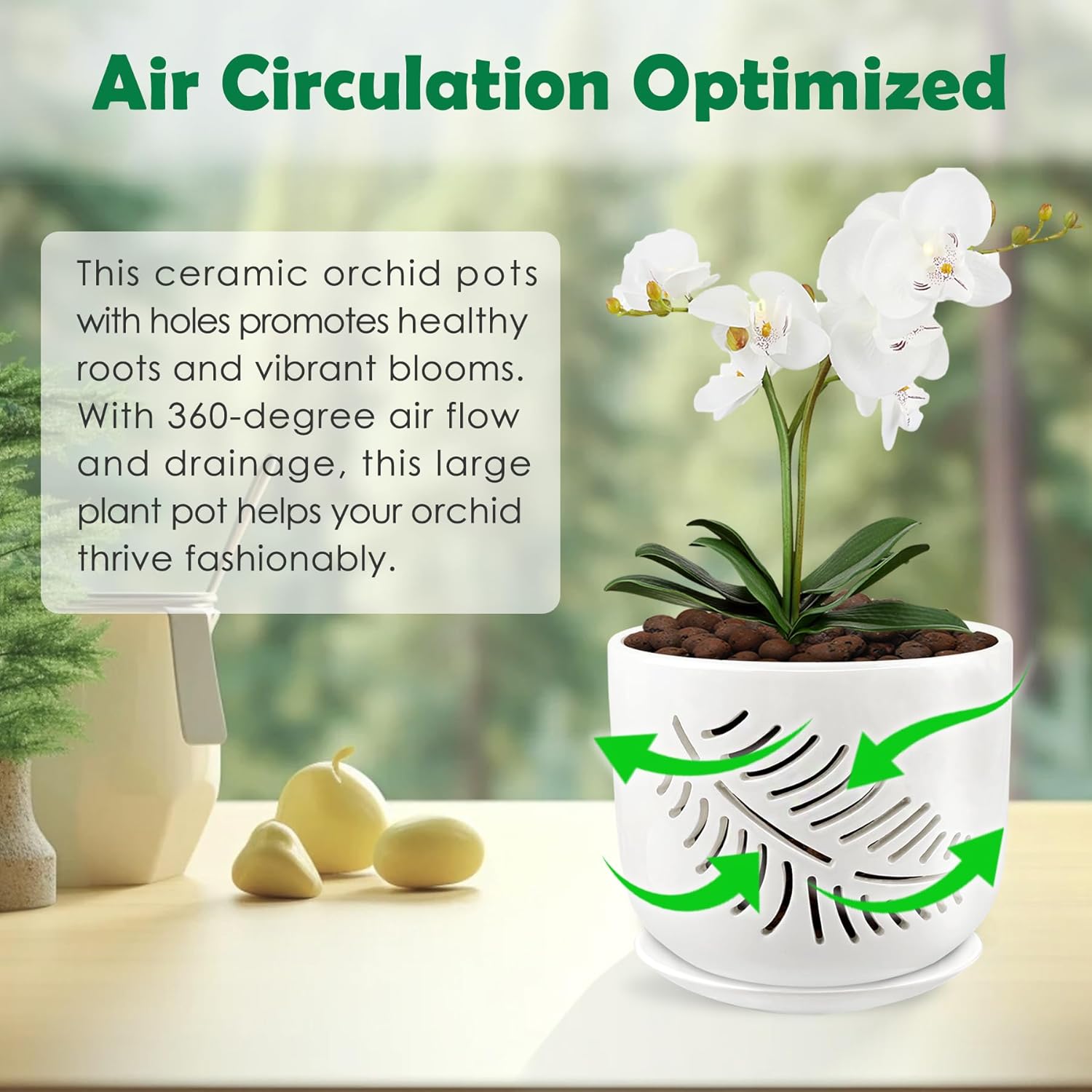 Set of 2 Orchid Pots with Holes, 5 and 6 Inch Ceramic Plant Pots for Plant Lovers – Great for Drainage & Airflow, Indoor/Outdoor Use, Perfect for Repotting