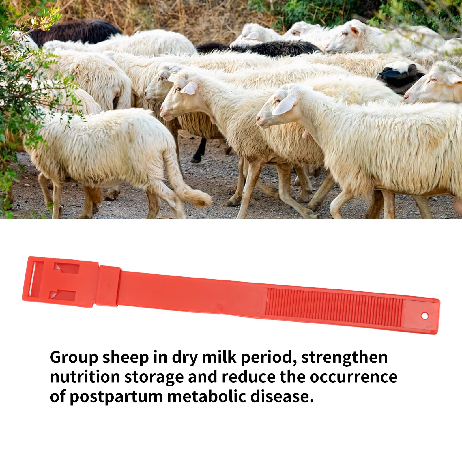 Colliers d'Identification pour Chèvres et Moutons, Bandes de Marquage de Bétail, Rouge, 36 cm, 10 Pièces, pour Petits Animaux de Ferme