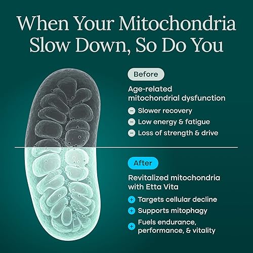 Miniatura 10 de Gotas de Azul de Metileno - Grado Farmacéutico USP 99.99% Puro Solución al 1% para Energía, Enfoque, Claridad, Cognición y Apoyo Celular - Probado