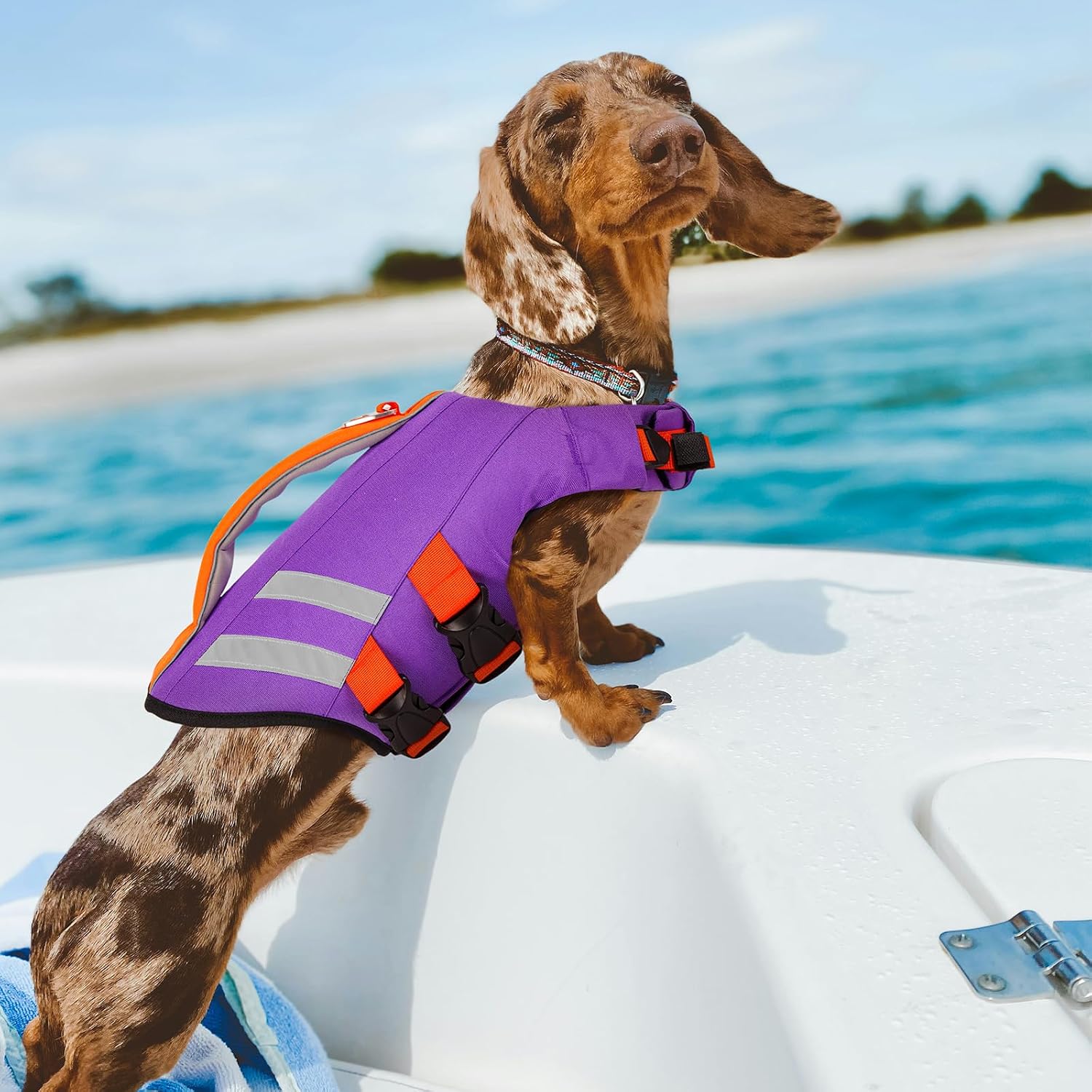 LeLePet Dog Life Jacket, High Flotation Dog Life Vest for Swimming, Boating, Ripstop Reflective Pet Swim Vest for Small Medium Large Dogs Pool Floats Adjustable Swimming Vest for Dogs Water Safety