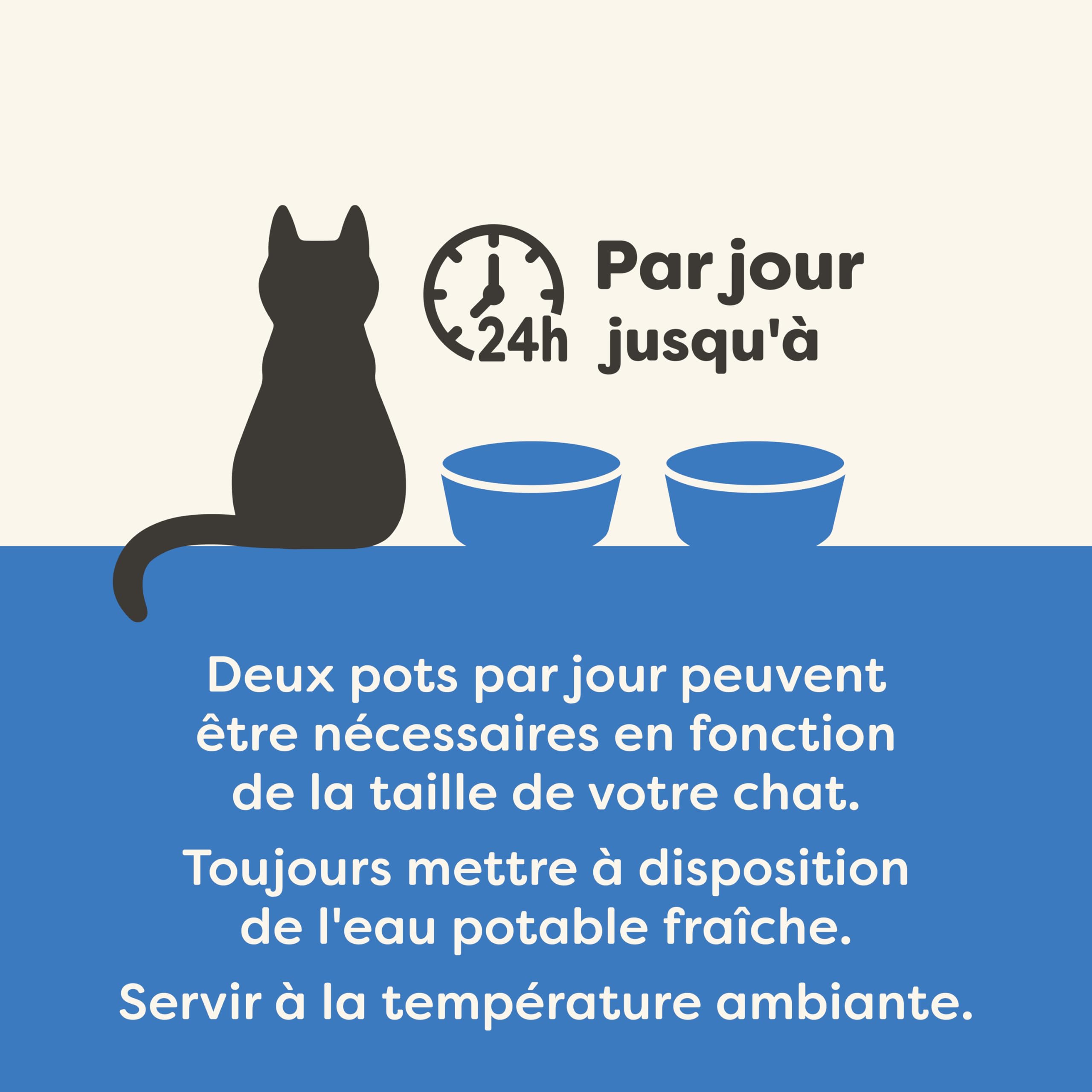Applaws Comida para Gatos 100% Natural, Lujoso Filete de Atún con Langostinos en Caldo, 10 tarrinas de 60g