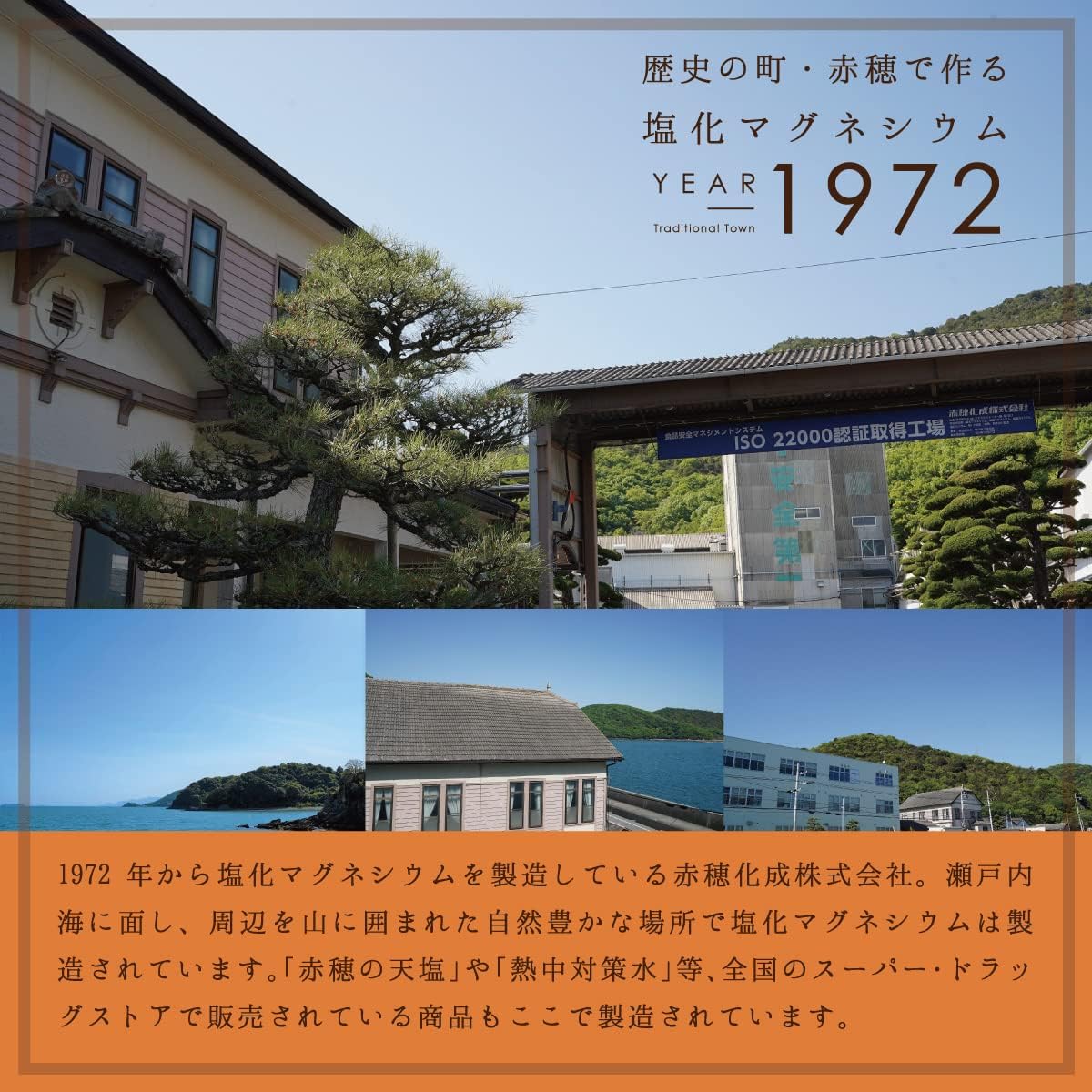 5kg 6袋 フレーク 計量スプーン付 食用 国産 超高濃度 天然成分 無香料 にがり 【クッキング】