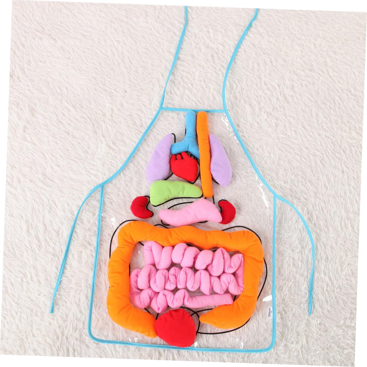 Toyvian Delantal Infantil 3D para Enseñanza de Anatomía Órganos del Cuerpo Humano, Material Didáctico de Plástico y Algodón PP para Educación Preescolar y Jardín de Infancia