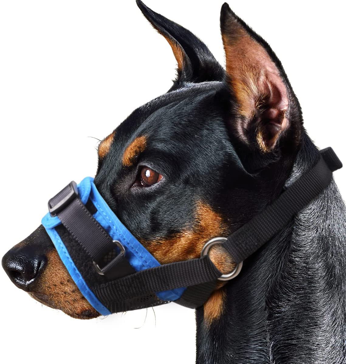 How Long Can I Leave A Muzzle On My Dog
