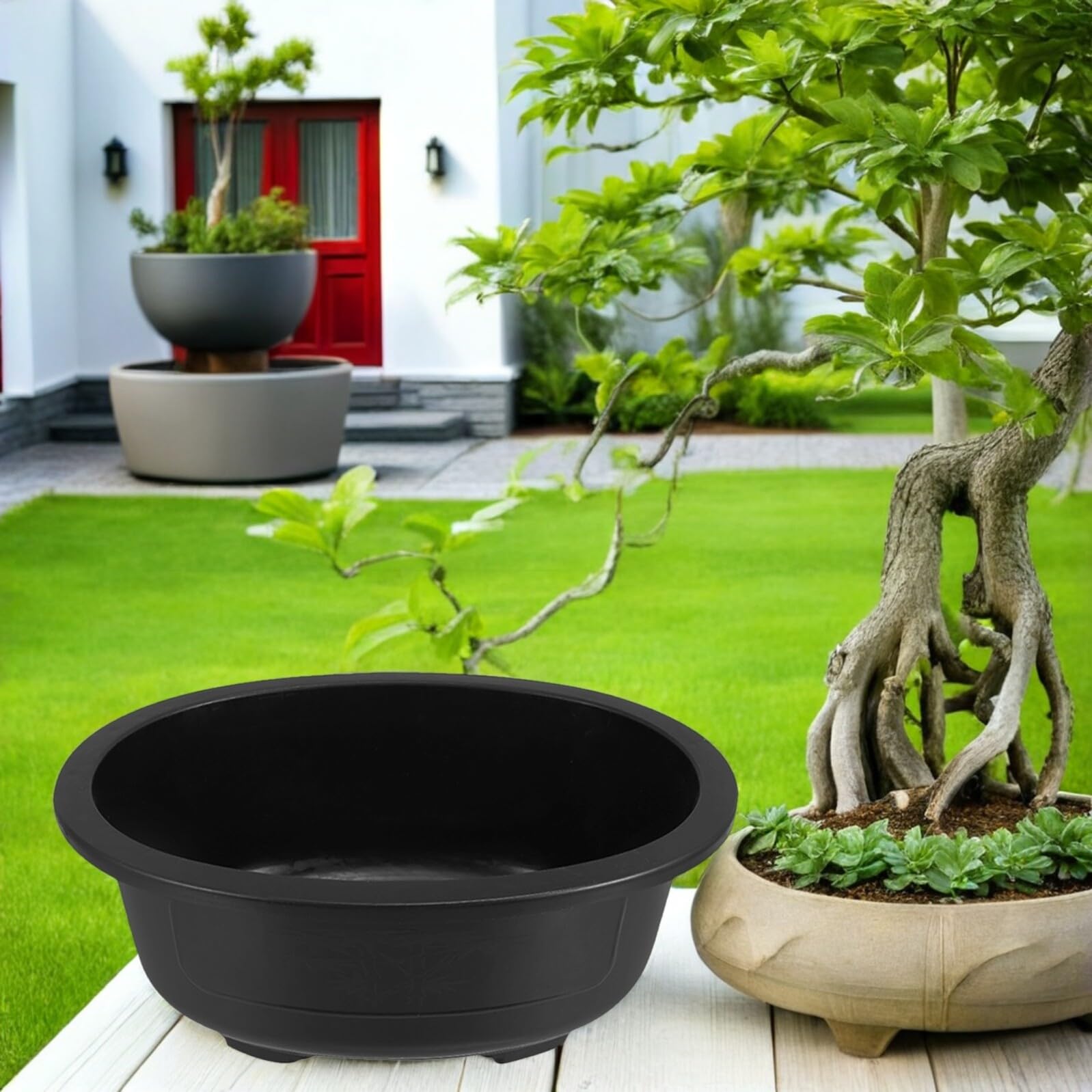 Lot de 2 pots ovales en plastique pour bonsaï 50 x 39 cm – Idéal pour l'entraînement des arbres et plantes succulentes, parfaits pour le jardin, la cour, la décoration de bureau, pots durables pour
