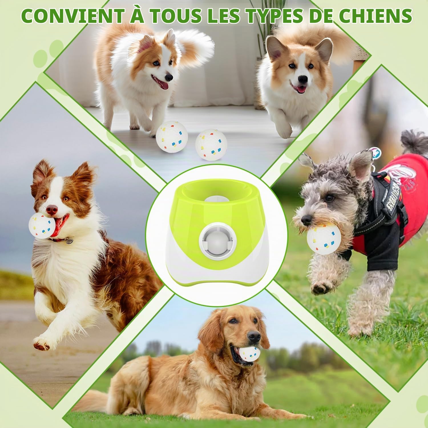 Lanceur de balles pour chien, Lanceur automatique de balles pour chien avec 3 distances de lancer de 6-14 m, Jouet interactif pour petits chiens à l'intérieur et à l'extérieur avec 3 mini