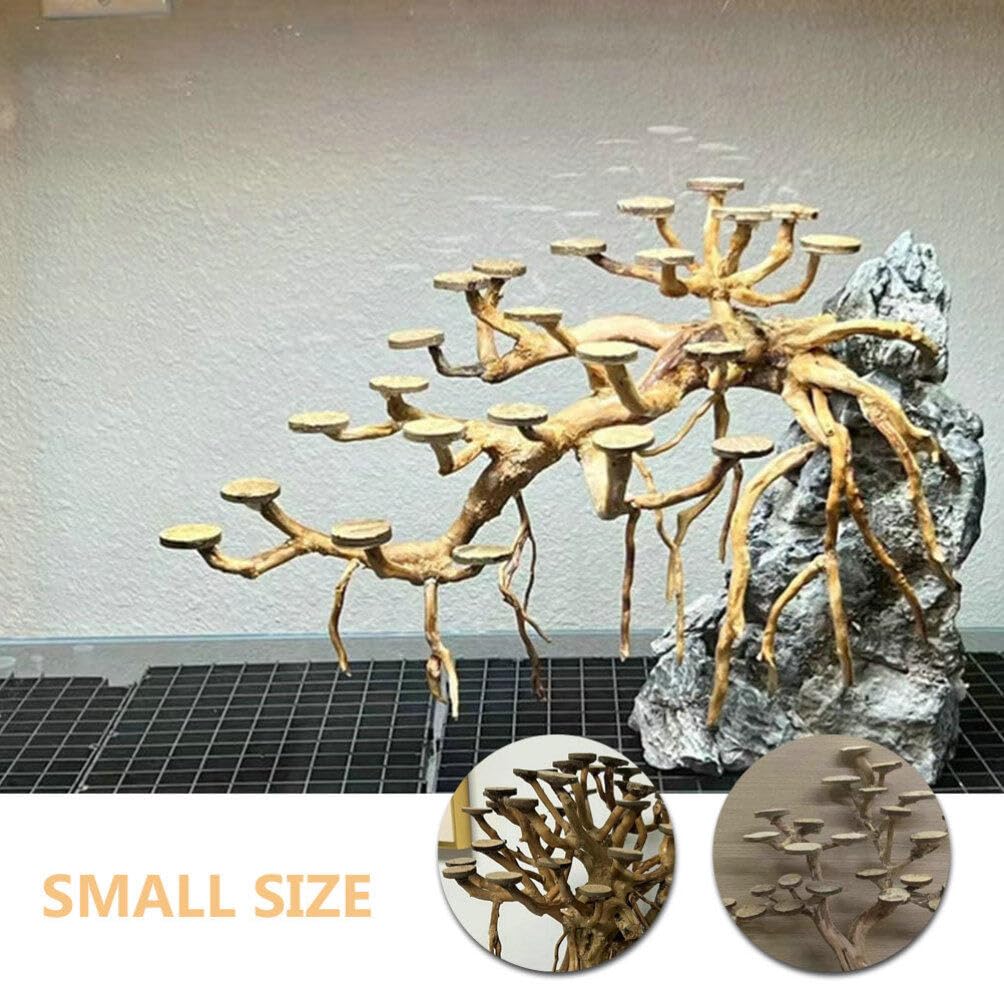 cheap as chips fish accessories Amazon.com: INOOMP Fish Tank Coconuts Chips, 50pcs Aquarium Round Coconut  Shell Chips Discs for DIY Fish Tank Aquarium Ornament Decoration : Pet  Supplies