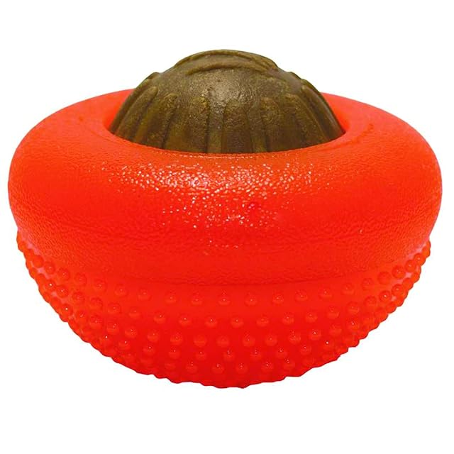 STARMARK Everlasting Bento - Bola para Perros
