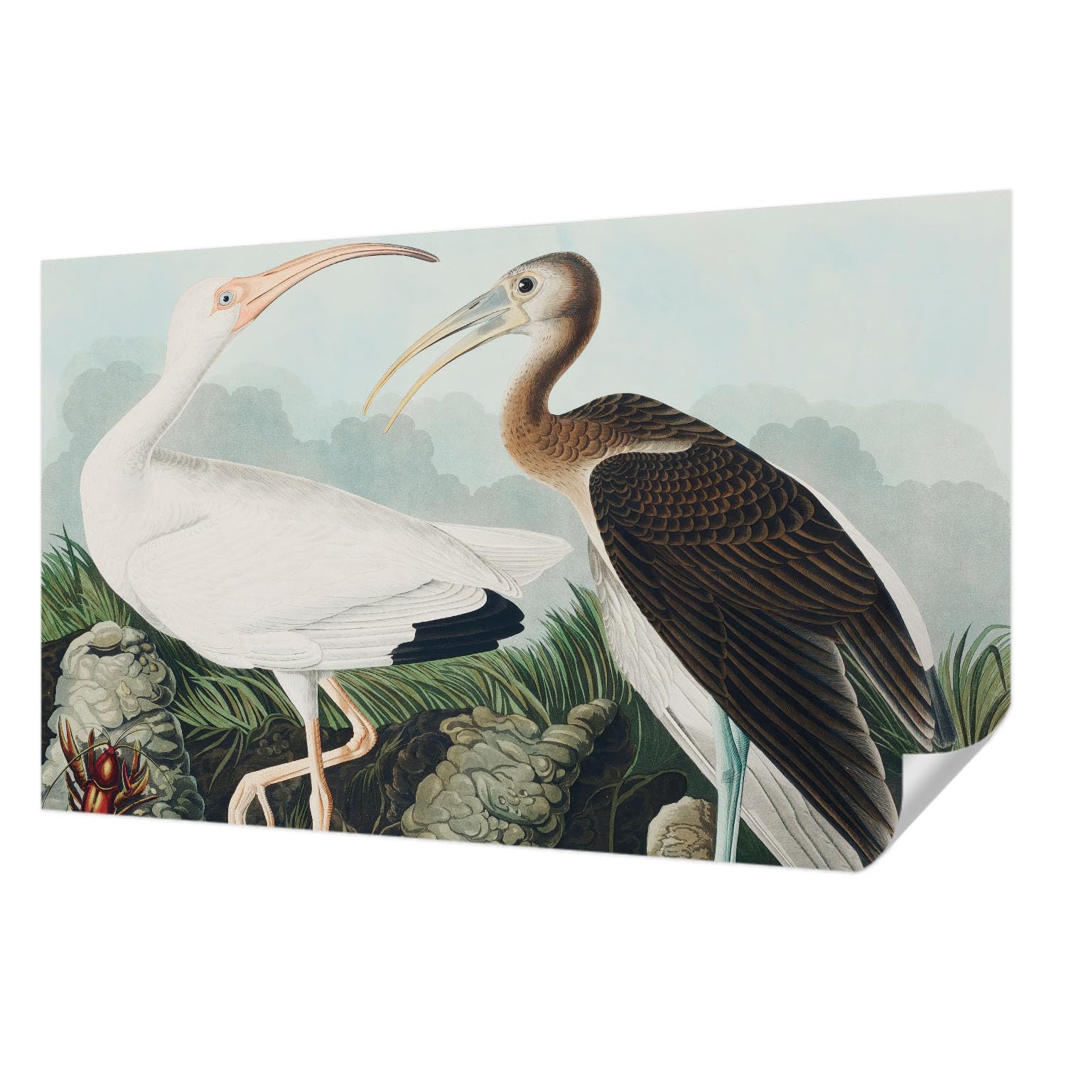Papier peint haut de gamme résistant aux taches couple d'oiseaux Tulup