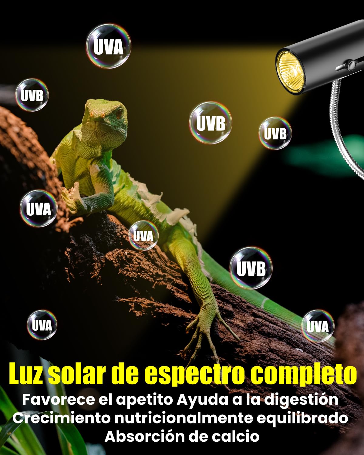 Terrario Reptiles Lámpara para Tortuga de Calor Lámpara para Terrario 50W UVA/UVB con Clip Ajustable E27 Portalámpara Base para Tortuga, Lagartos, Araña, Camaleon, Anfibios (2 Bombillas)