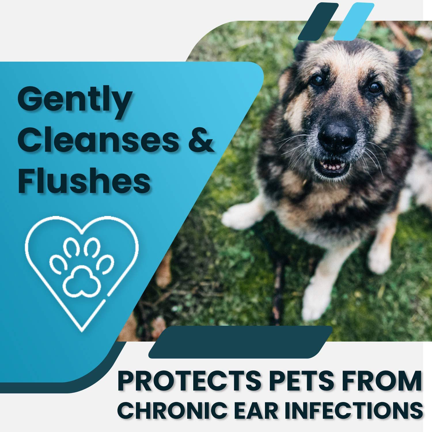 Buy Truseb 1 Ear Cleaner Flush Dog and Cat Tris Flush Ear Infection