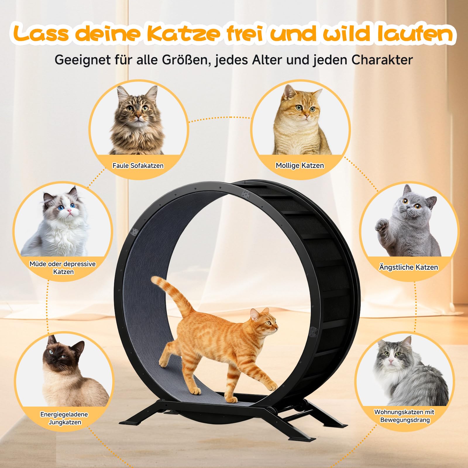 GTPLAYER Katzenlaufrad, laufrad Katze, Extra großer 100 cm, ultraleises Laufrad mit Abnehmbarer Teppich und Spielzeug, Aufkleber, Verriegelung, geeignet für die meisten Katzen, Metall,Schwarz