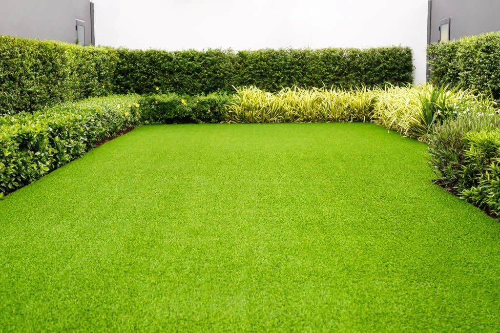 Carpet Grass Seeds for Lawn, Lawn carpet grass seeds for garden, Grass seeds for small lawn carpet (4000 Seeds) (B0CN6DPJS1) Amazon Price History, Amazon Price Tracker