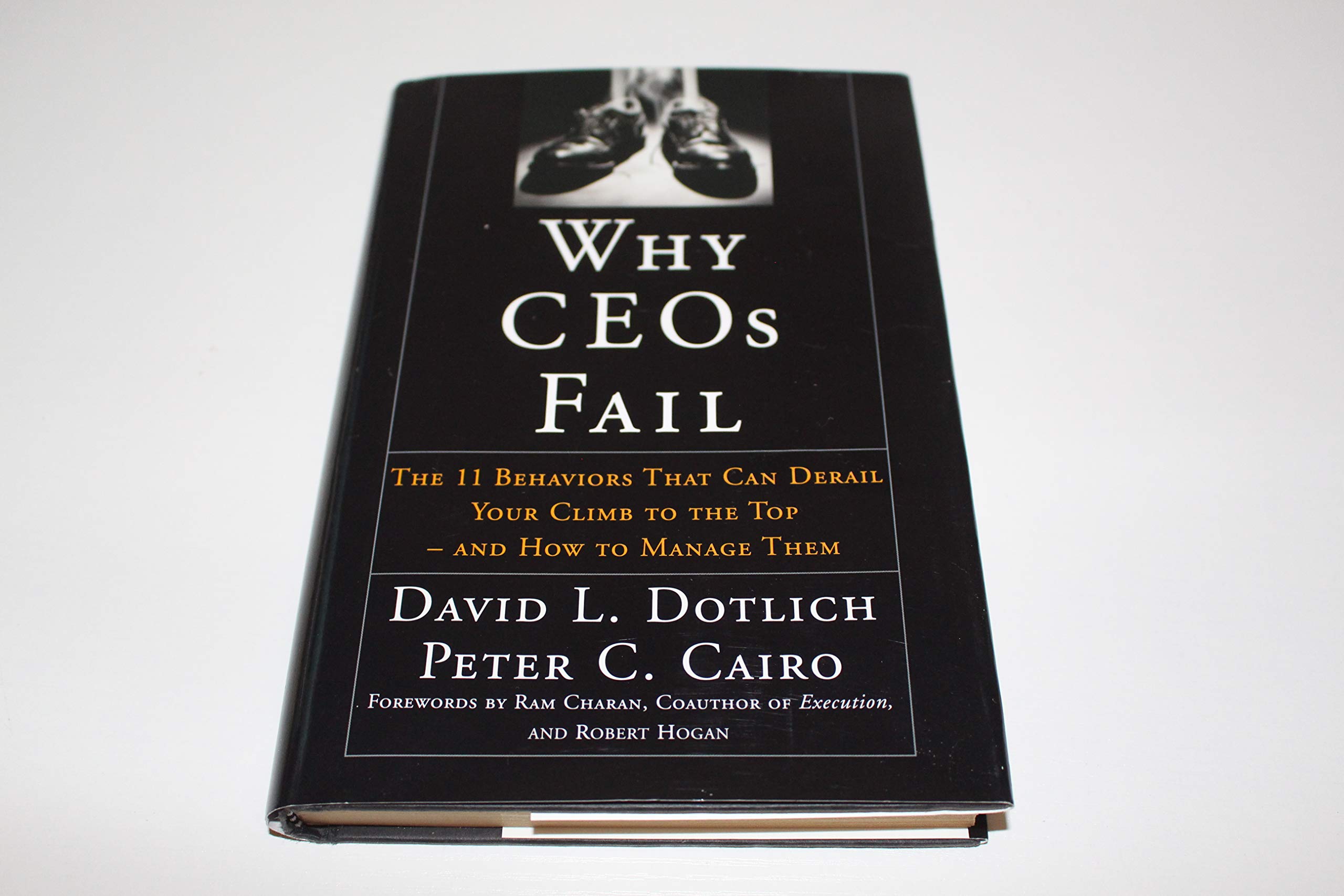 Why CEOs Fail: The 11 Behaviors That Can Derail Your Climb to the Top - And How to Manage Them (Jossey-Bass Leadership Series)