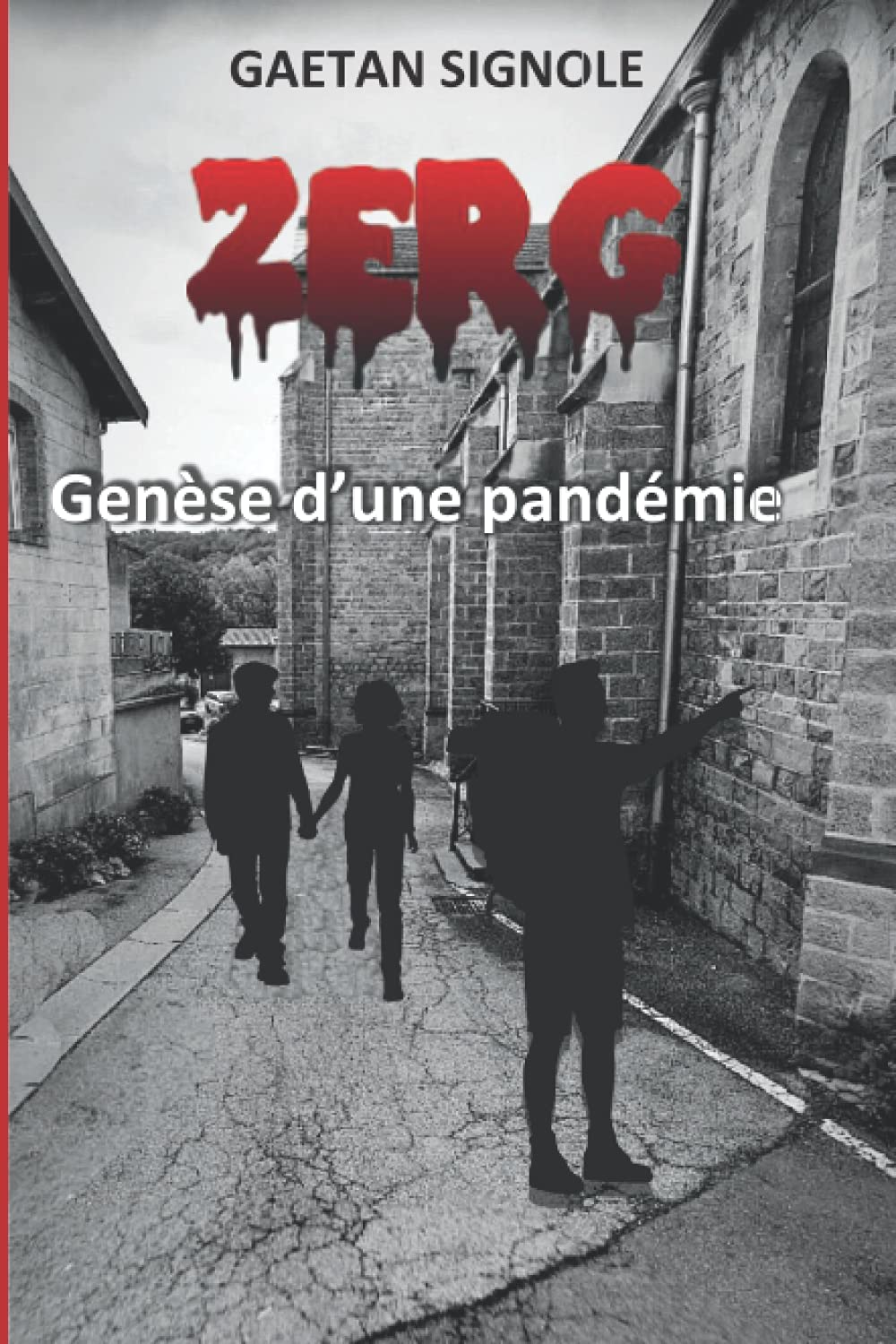 Zerg: Genèse d'une pandémie Paperback – 30 November 2020
