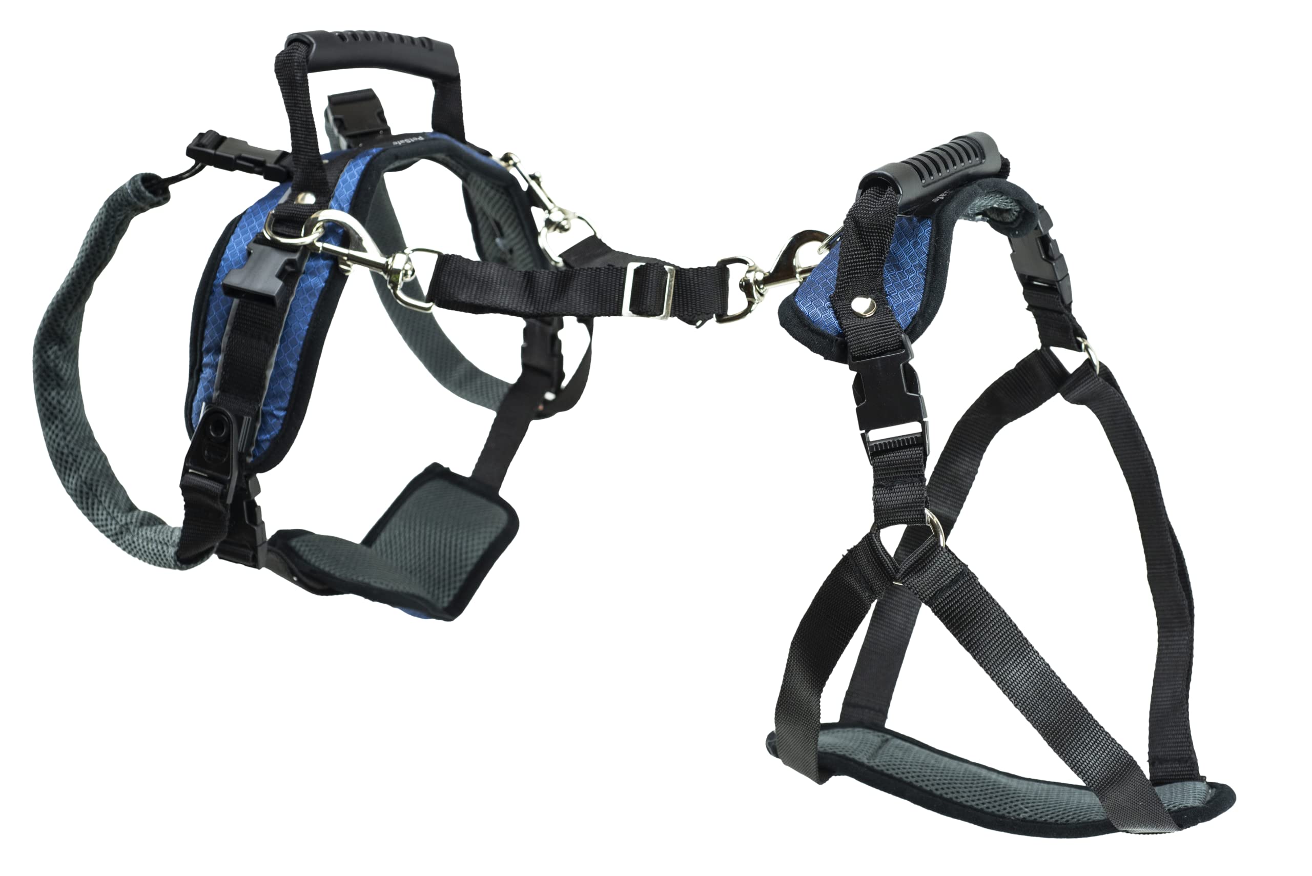 PetSafe Carelift, Pettorina di Supporto per Cani, Ausilio per il Sollevamento di Tutto il Corpo con Impugnatura, per Cani Disabili o Anziani, Comodo, Traspirante, Facile da Regolare, L