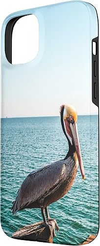 Vista 17 de iPhone 11 Pelican Case