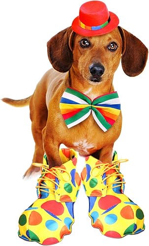 Miniatura 7 de Ioffersuper Juego de 5 piezas de suministros de disfraz de payaso, zapatos de payaso de nariz roja, peluca de payaso arco iris, chaleco para corbata