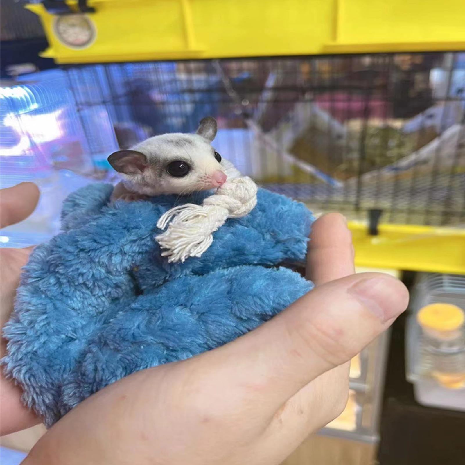 フクロモモンガ用寝袋 Amazon.co.jp: ハムスター用寝袋 - 暖かいフクロモモンガの