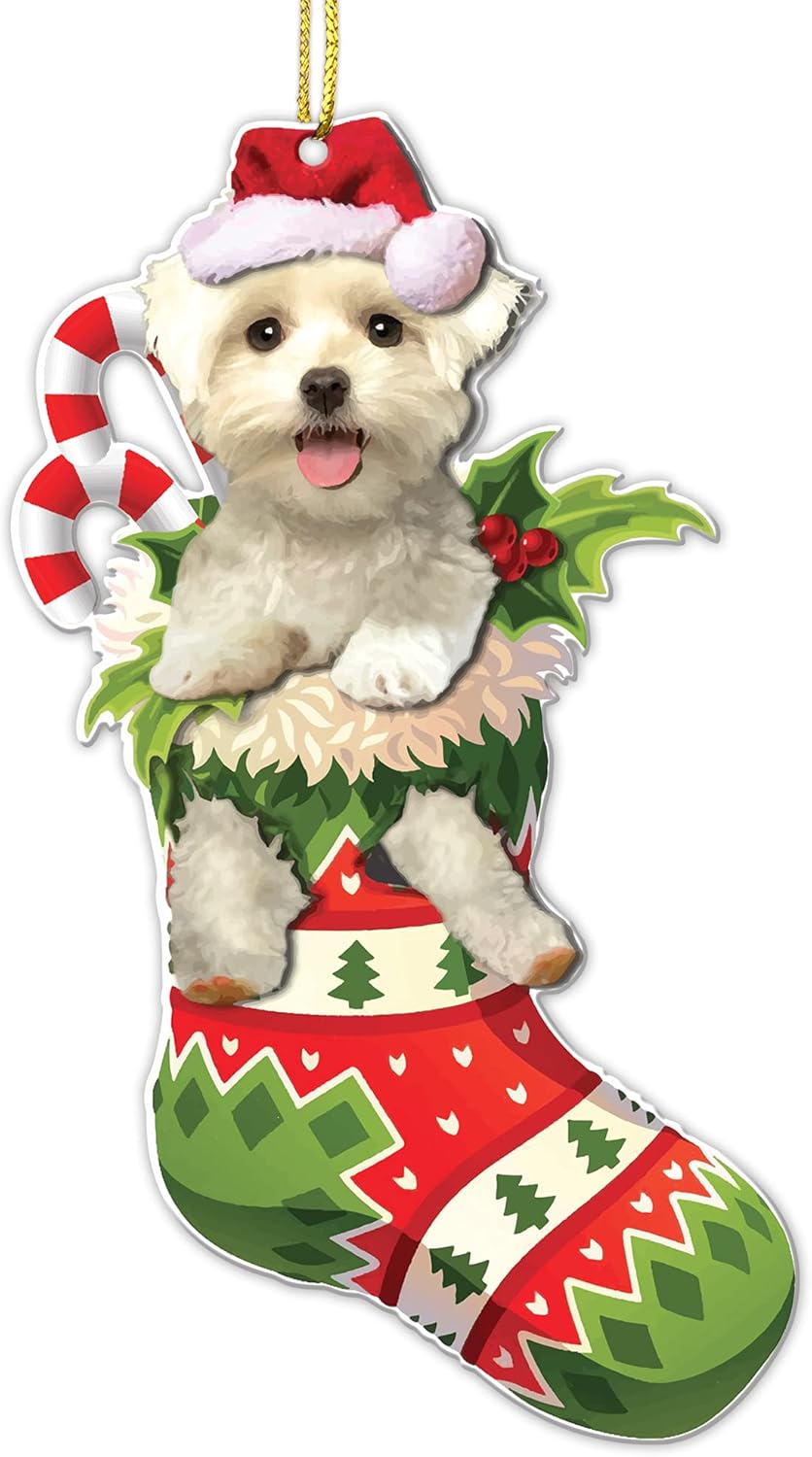 Bichon Dog Christmas Acrylic Flat Ornament - Adorable Bichon Puppy in Stocking with Santa Hat, Candy Canes for Festive Holiday Tree Decoration - 2024 Bichon Dog Christmas Tree Hanging Ornament