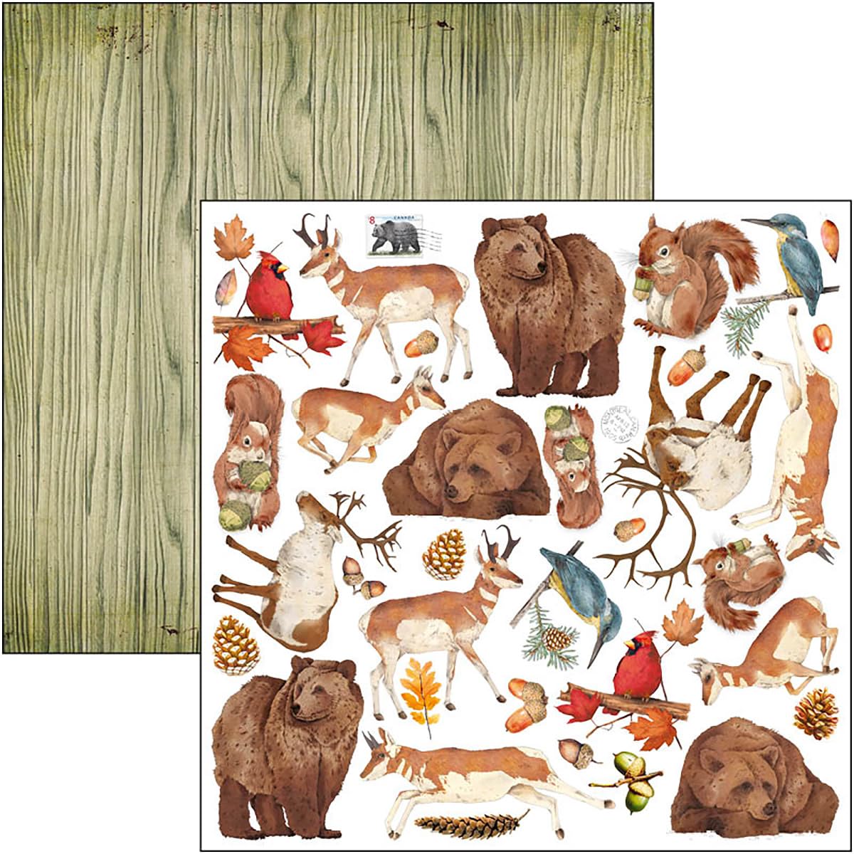 Ciao Bella Into The Wild 12"x12" Patterns Pad - Image 4