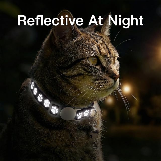 Foto 6 de 6 de Collar de gato reflectante personalizado con etiqueta de nombre