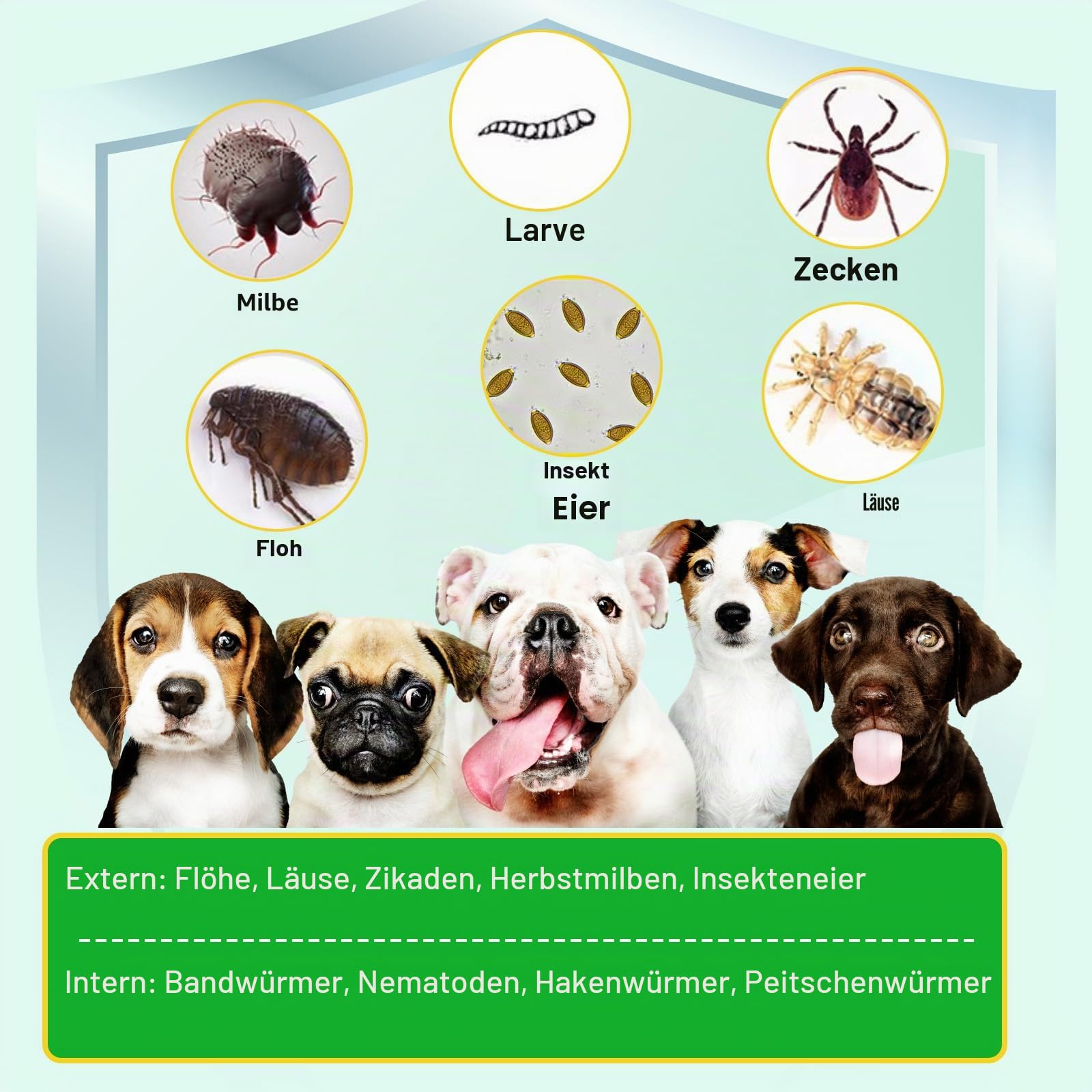 Flea und Zeckenprävention für Hunde Kauen, Zeckenschutz Weiche Tabletten, Natürliche Hund Flea Zeckenkontrollergänzung Orale Pillen,Zeckenschutz, Schädlingsschutz - Peking Ente Aroma (375g,150chews)