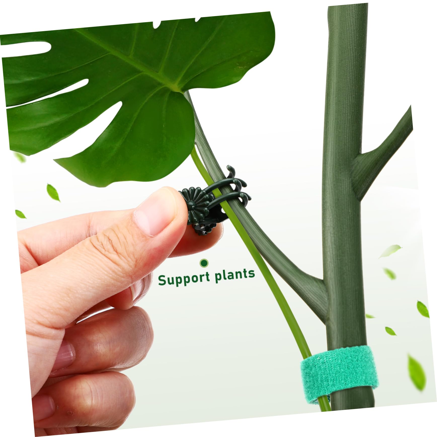 TOYANDONA Lot de Tuteurs pour Plantes Grimpantes, Support Extensible en Plastique Vert, Clips et Liens Torsadés, pour Intérieur et Jardin
