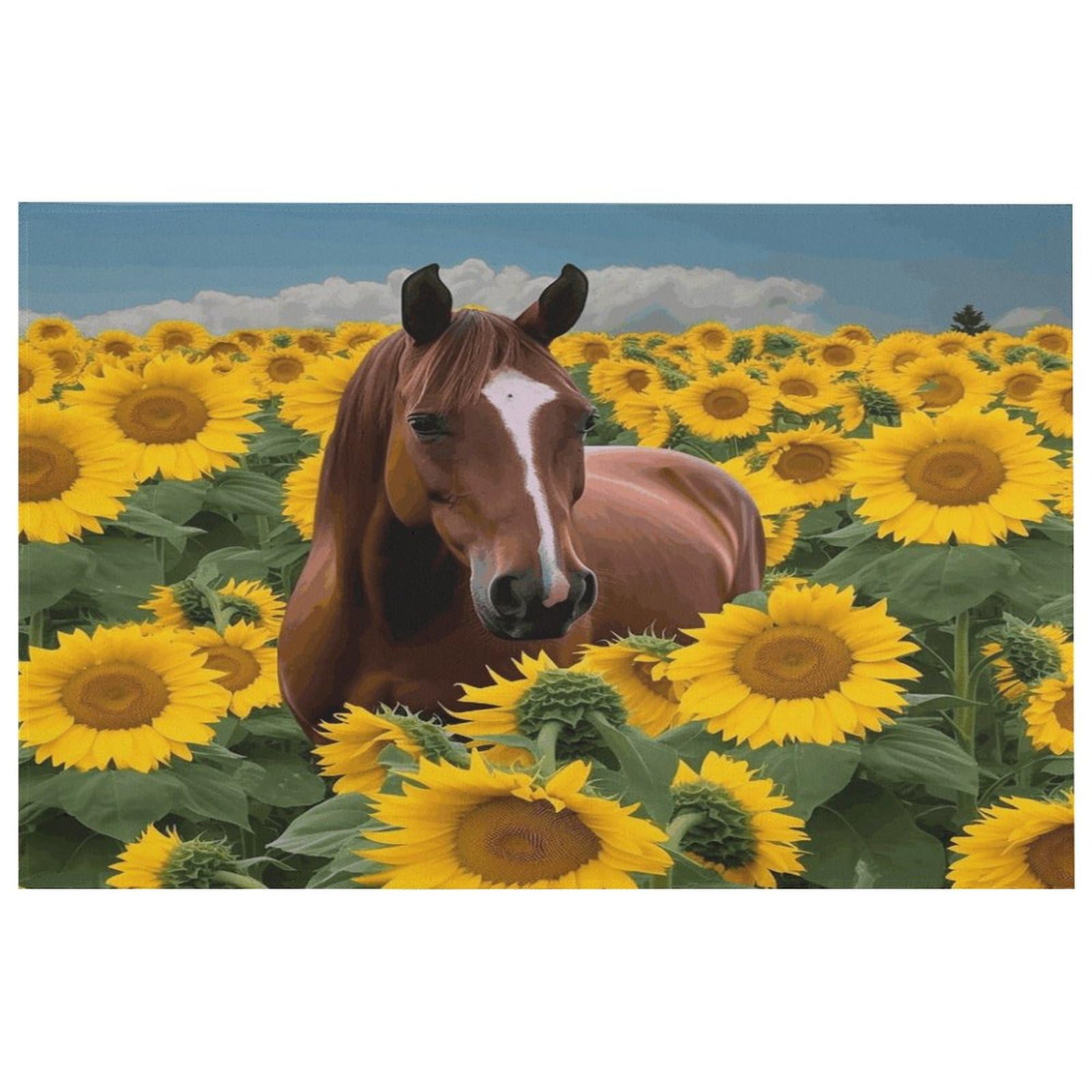 Tapis de cuisine lavable motif cheval : réveillez votre décoration de chambre et bain
