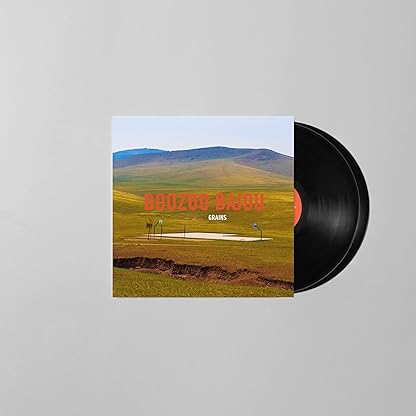 Grains (15th Anniversary) por Boozoo Bajou — capa do álbum