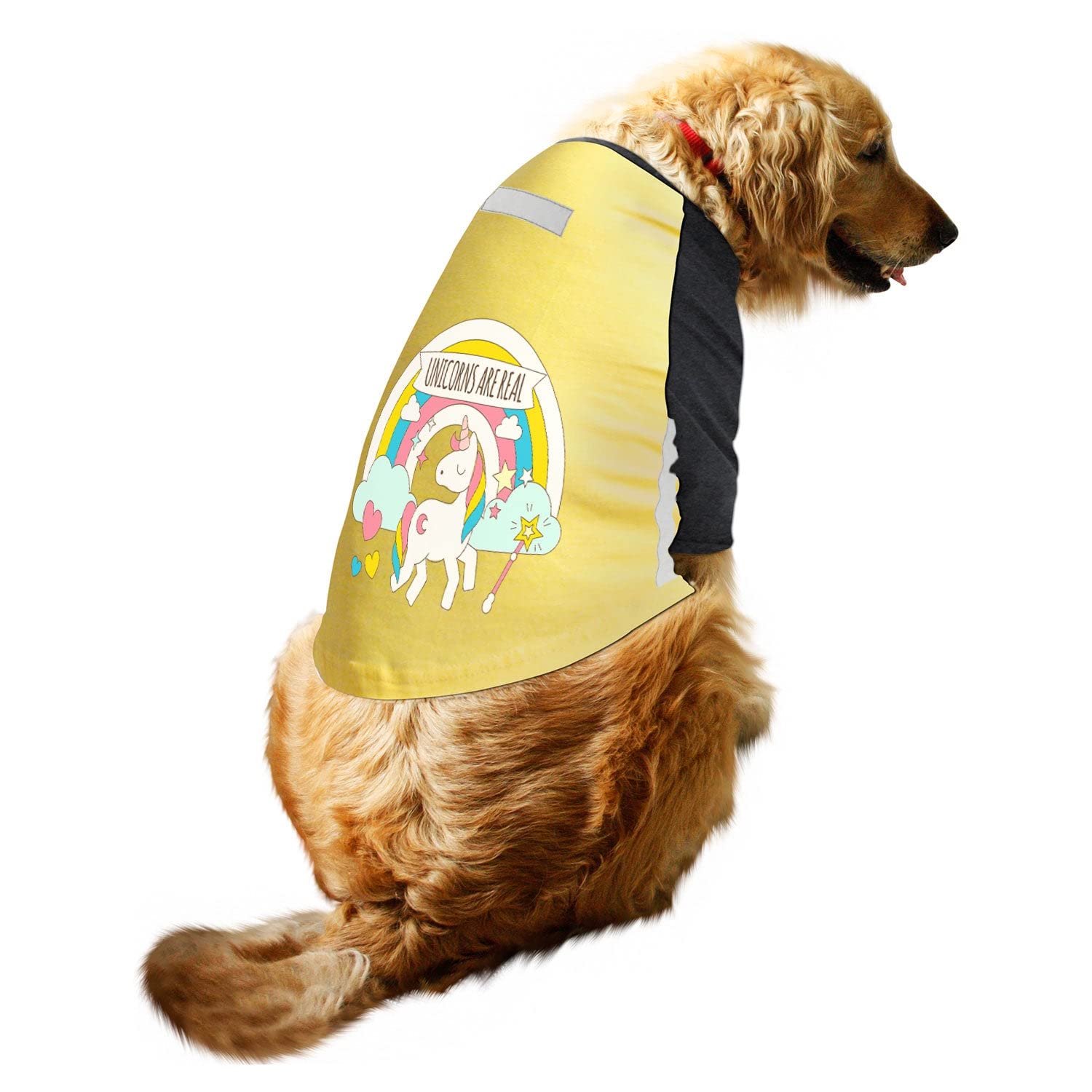 Ruse Raglan Dog Tee Unicorn Printed Reflective Full Sleeves Dog T-Shirt/Apparel/Clothes/Tees Gift for Small Dogs.Lemon/Black/S (Apso, Cocker Spaniel etc.) (B0BLN1Z13V) Amazon Price History, Amazon Price Tracker