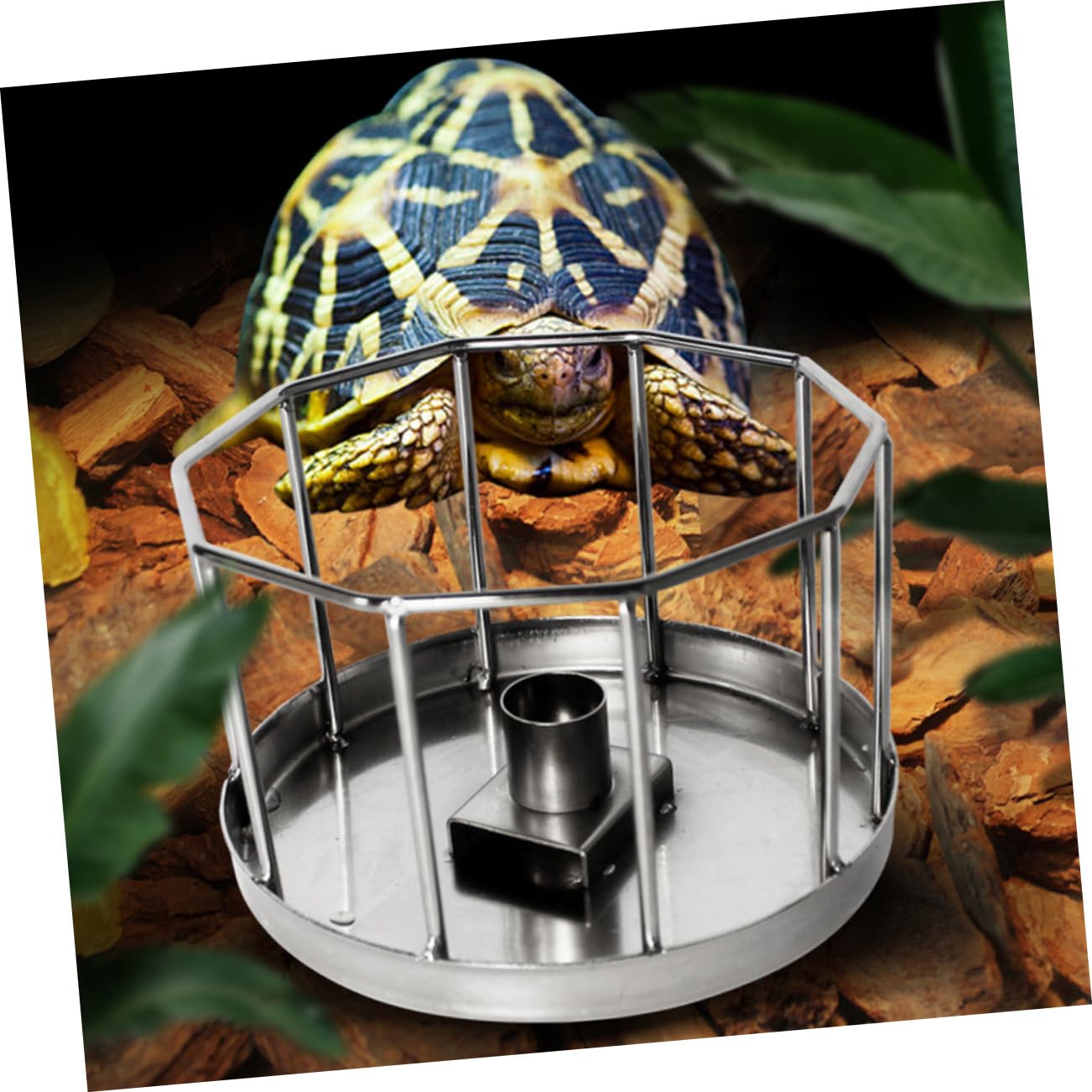 Kisangel Plato de Agua Automático para Reptiles y Tortugas Diseño Anti Óxido en Acero Inoxidable para Alimentación y Bebida Segura de Mascotas