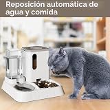 Ver la foto 2