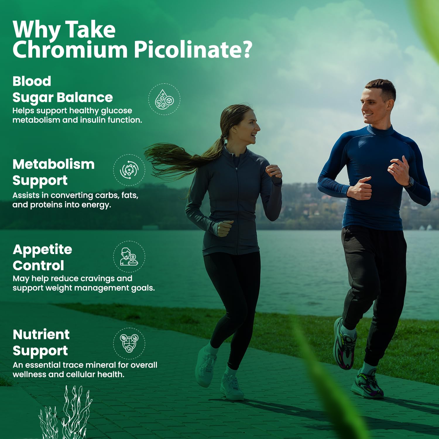 Nuvimate Chromium Picolinate Supplement Blood Sugar Supplement Capsules With Cinnamon Bitter Gourd Hibiscus For Healthy Blood Sugar Levels Glucose Support Supplement - 60 Capsules 3