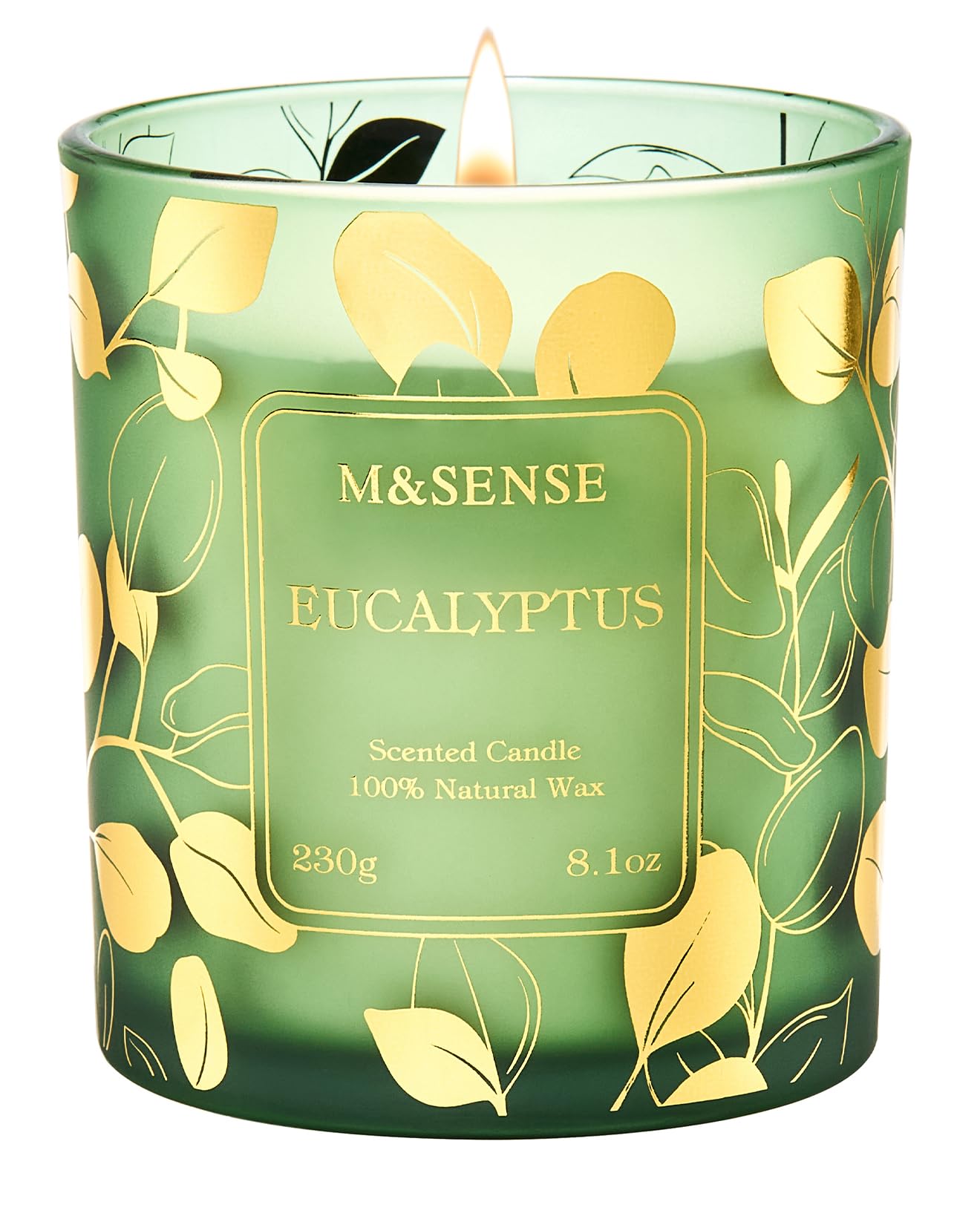 M&SENSE 230g Scented Candle, Eucalyptus Scent, Long Burning 42h, Natural No Toxic Soy Wax Candles for Kitchen, Bedroom, Bathroom. Scented Candle Gift for Party, Home Decor, Housewarming