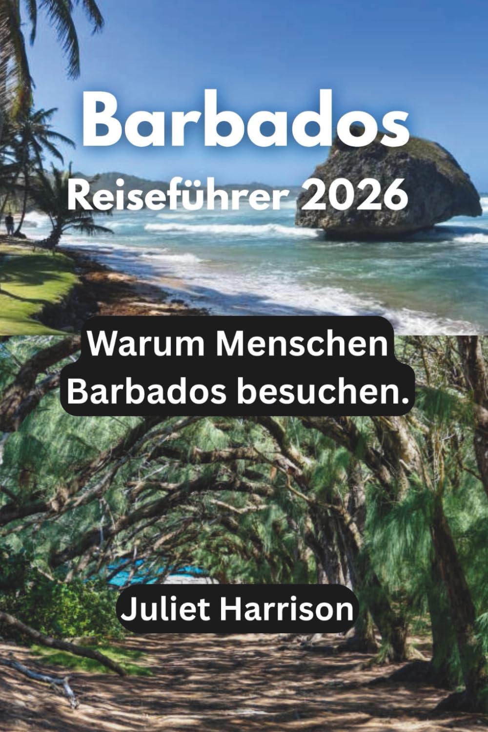 Barbados Reiseführer 2026: Warum Menschen Barbados besuchen.