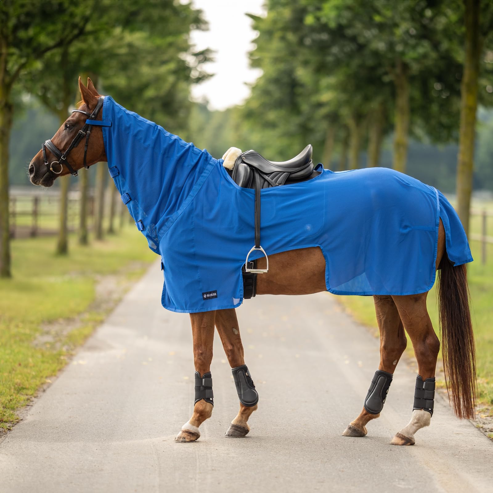 Couverture d'équitation Moskito III pour le repos du cheval au pré en été royal
