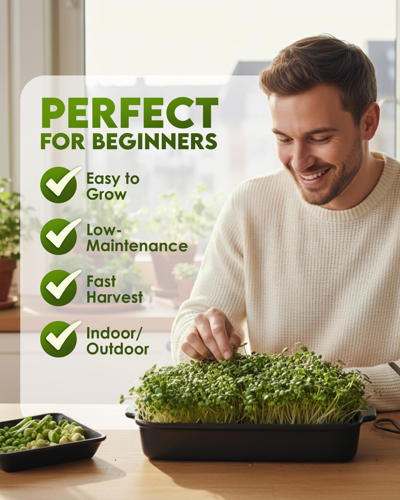 Grow Your Own Microgreens - Broccoli, Alfalfa Mix -4