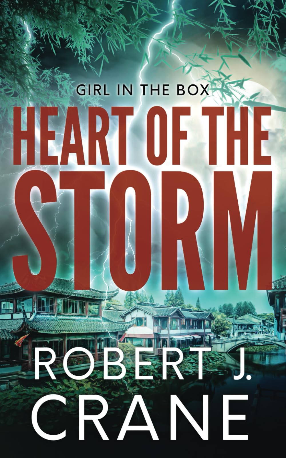 Heart of the Storm (The Girl in the Box, Band 58)