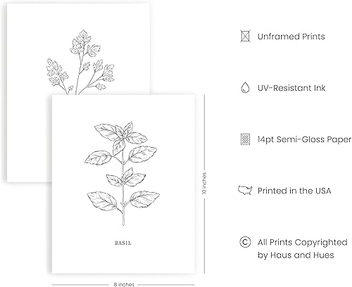 Miniatura 2 de HAUS AND HUES Decoración de pared de hierbas de cocina para cocina, impresiones artísticas de hierbas y letreros de cocina, impresiones de hierbas,