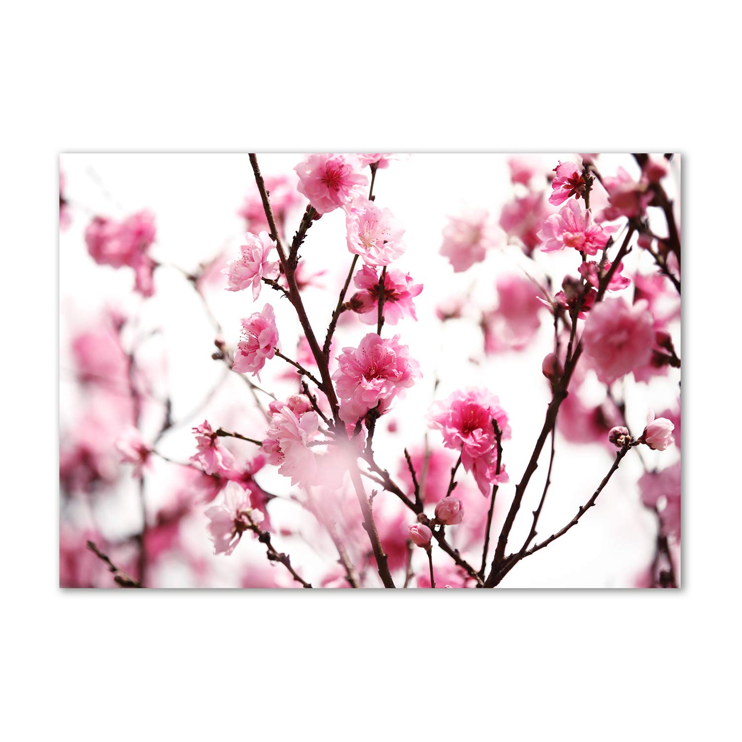 Tableau acrylique incassable fleur de prunier rose pour mur humide