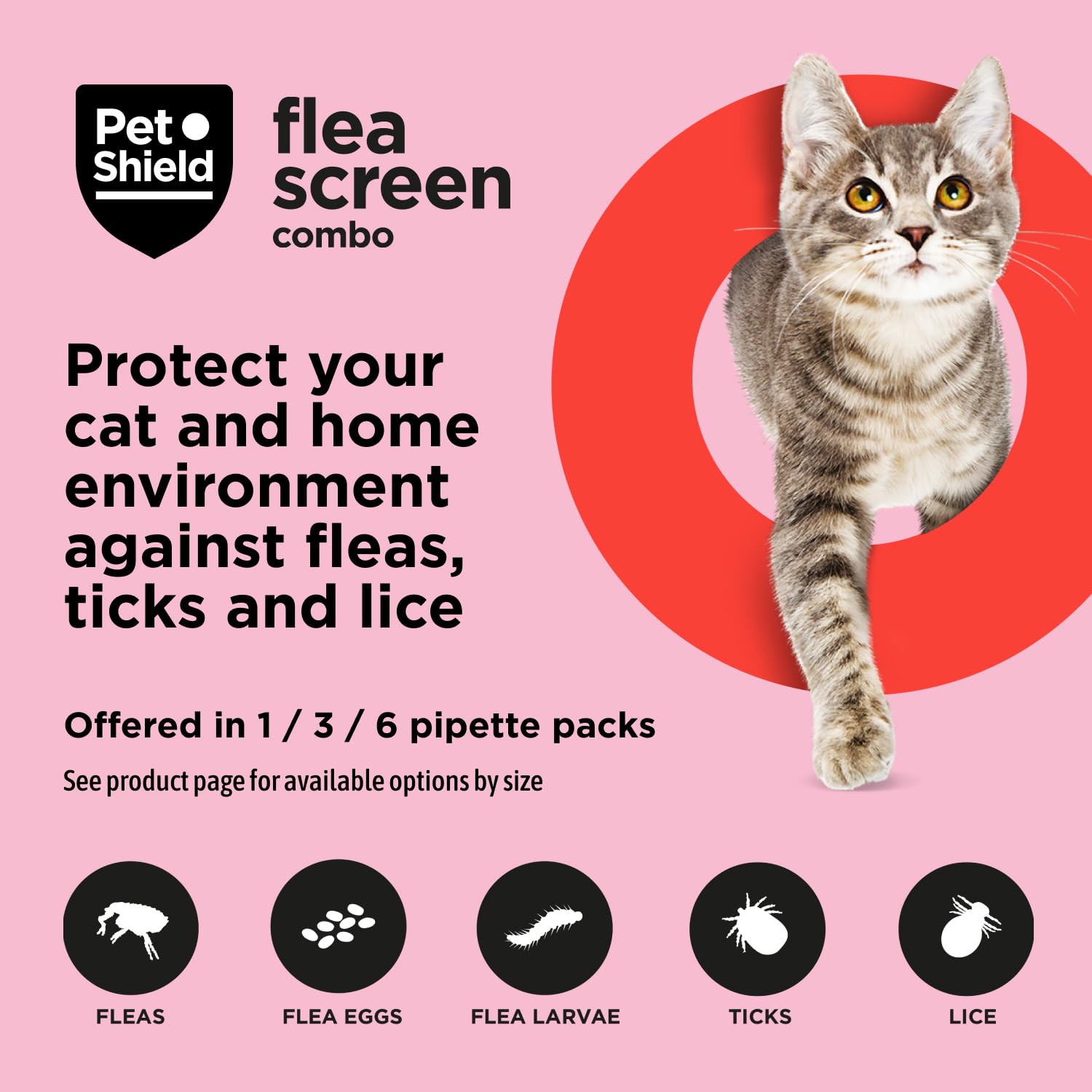 Pet Shield Flea Screen Combo Cat, Spot-On Flea Treatment for Cats & Kittens Over 8 Weeks Old - Image 2