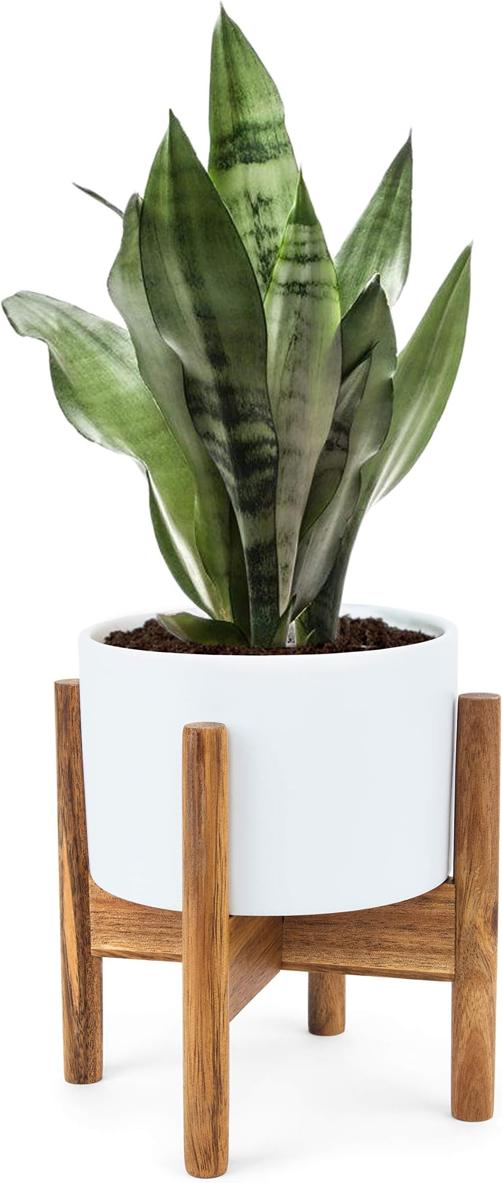 Small Indoor Tabletop Planter. 5 Inch Mid-Century Succulent Ceramic Plant Pot with Wood Stand and Drainage Hole by Fyra Ben. Modern Desktop Holder for Cactus Flower Candle (Included Planter and Stand)