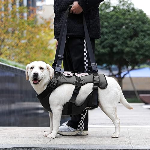 Miniatura 4 de NOYAL Arnés de elevación para perros, soporte para mascotas, correas ajustables acolchadas y transpirables para ancianos, discapacitados, lesiones