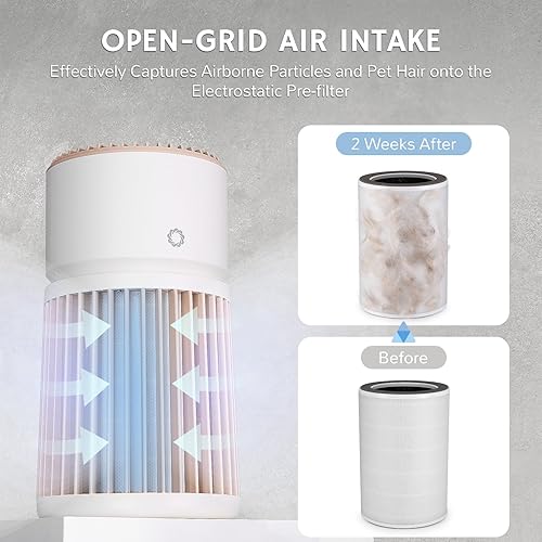 Miniatura 3 de Airthereal Purificador de aire HEPA H13 para mascotas con filtro lavable, filtro de aire para pelo de gato, caspa de mascotas, olor, polvo, humo,