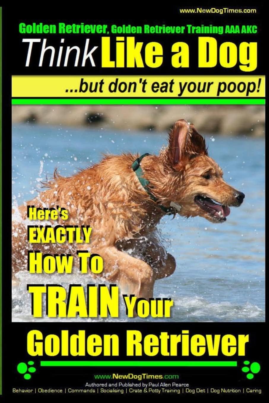 Golden Retriever, Golden Retriever Training AAA AKC | Think Like a Dog, but don': Here's EXACTLY How to TRAIN Your Golden Retriever