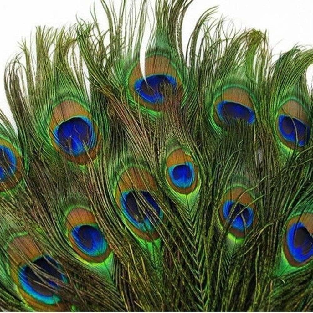 10pc/lot Natural Beatiful Peacock Eye Feathers Tail Long for Bouquet DIY Party Decor Natural Plume Artwork Ornaments Clothes Decals